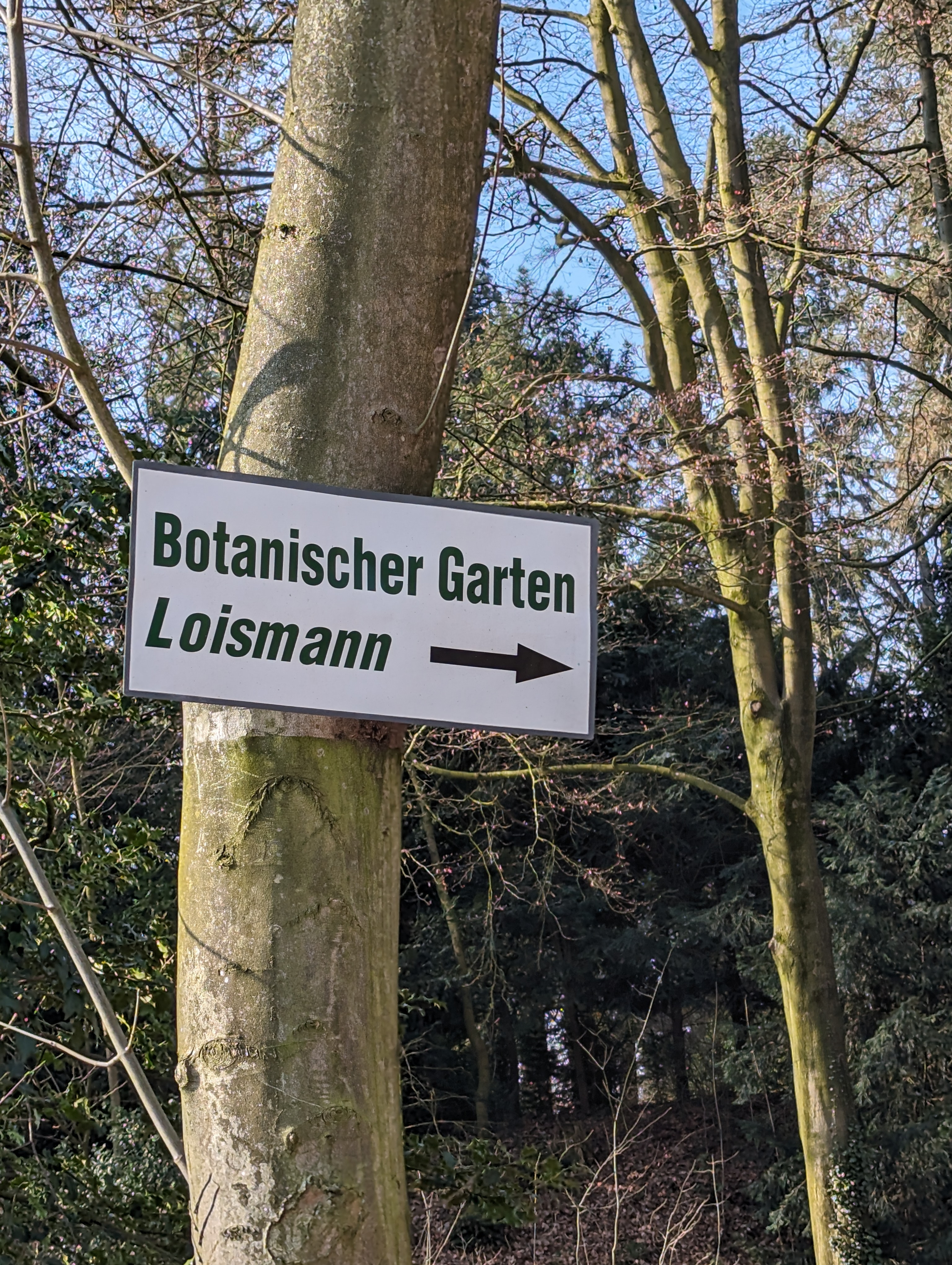 Loismann Eingang